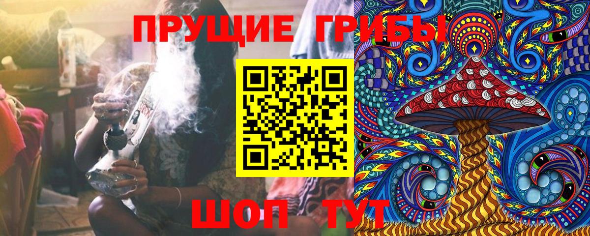 Псилоцибиновые грибы Psilocybine cubensis Бахчисарай