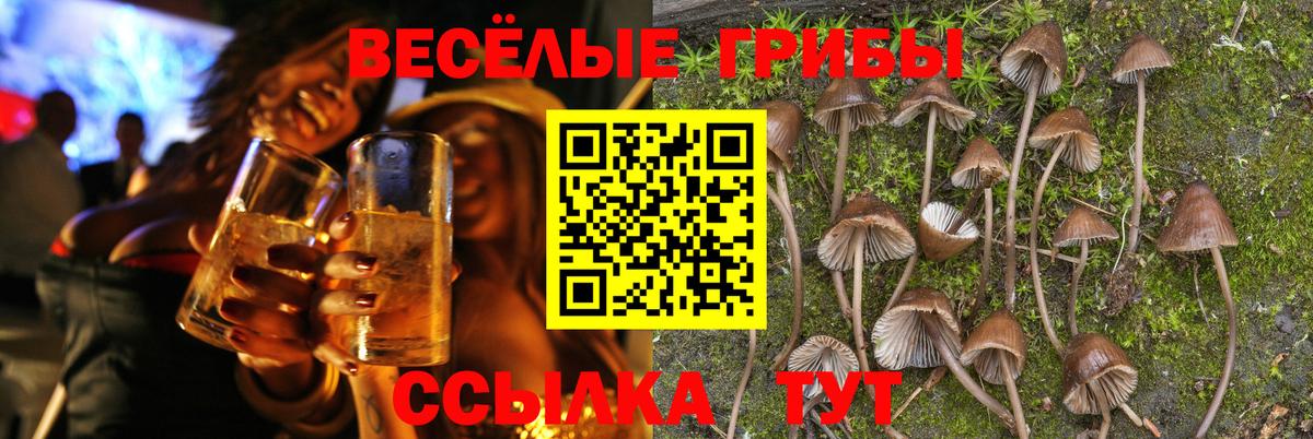даркнет сайт  Псилоцибиновые грибы Psilocybine cubensis  Бахчисарай  Вход с VPN  Галлюциногенные грибы Magic Shrooms 