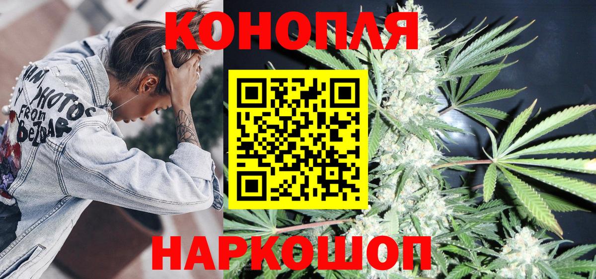 Каннабис сатива Бахчисарай